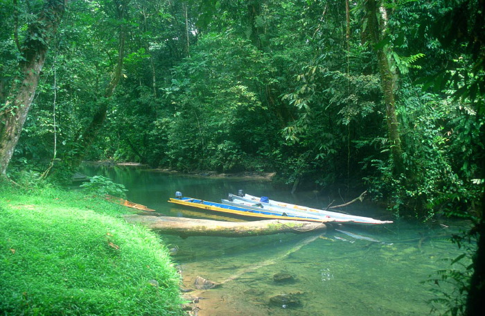 mzv gunung mulu natio#ac_2.jpg