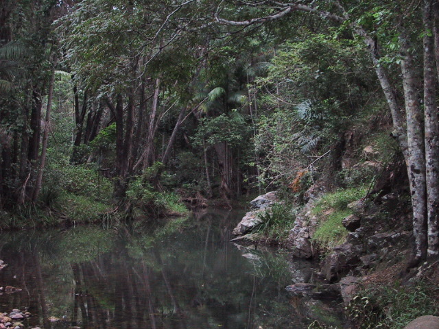 river near lacklan camp.jpg