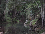 River near Lacklan camp.jpg