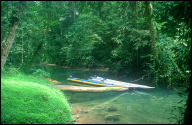 MZV Gunung Mulu National Park boats parking outside Wind Cave b.jpg