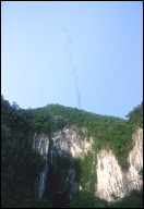 MZV Gunung Mulu National Park Deer Cave bats emerging from cave b.jpg