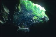 MZV Gunung Mulu National Park Deer Cave open end b.jpg