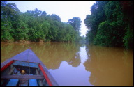 MYY Miri boat transfer on Sungai Niah river to Niah Caves National Park b.jpg