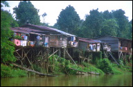 MYY Miri houses on the Sungai Niah river 2 b-1.jpg